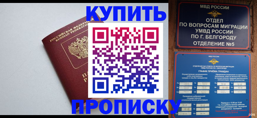 прописка регистрация в Калужской области